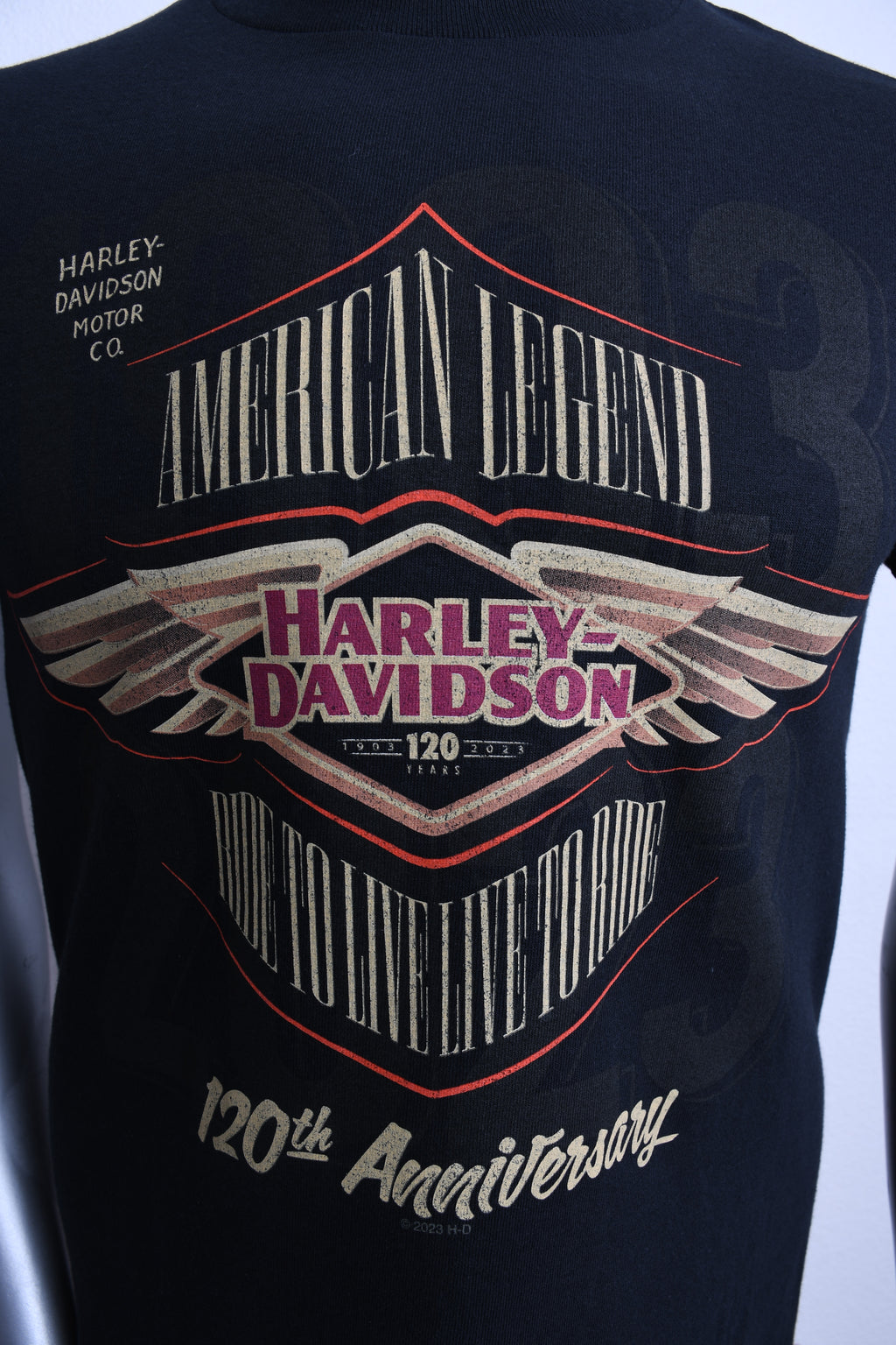 Licensed Product DECAL S/S MENS