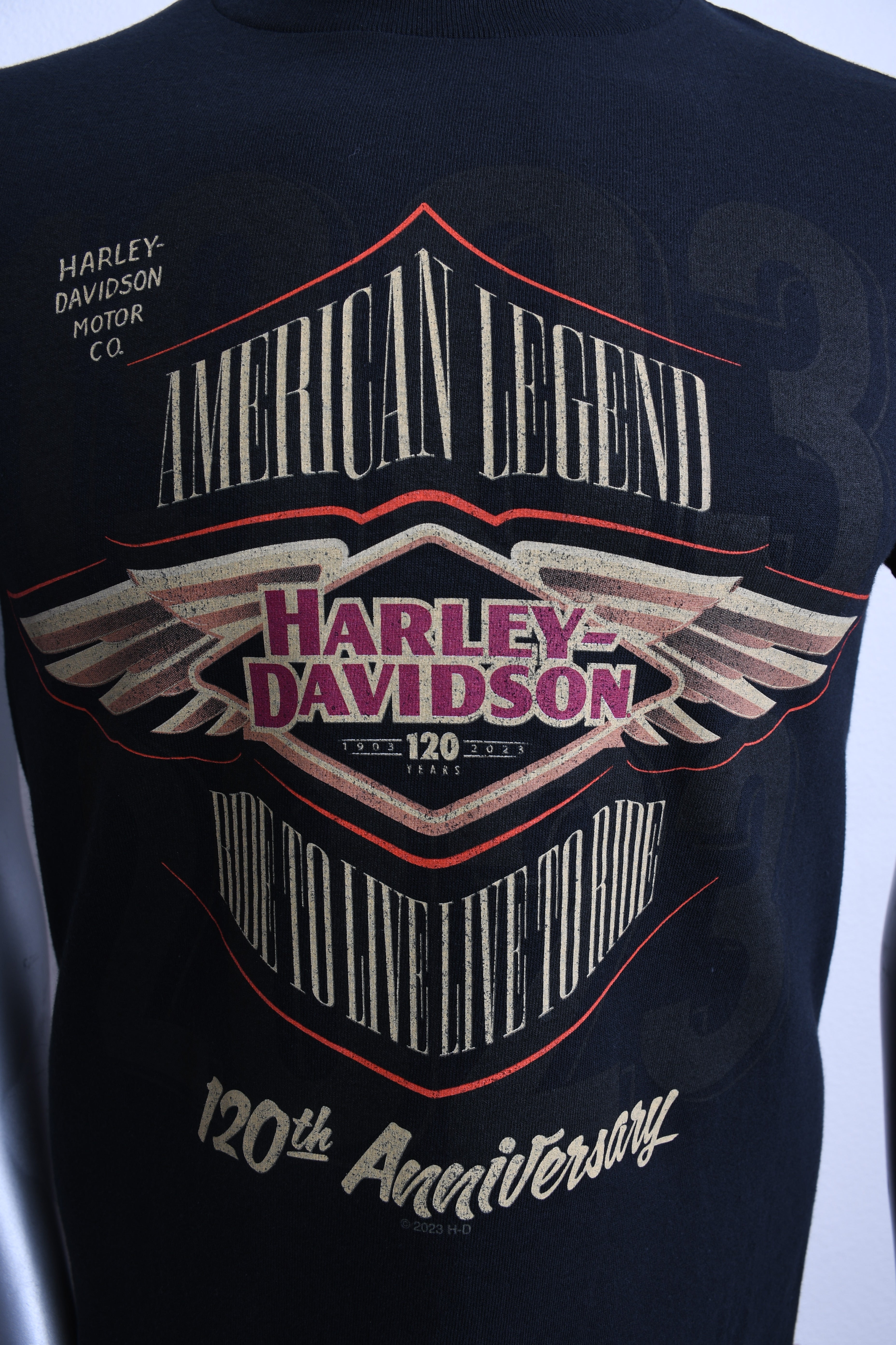 Licensed Product DECAL S/S MENS