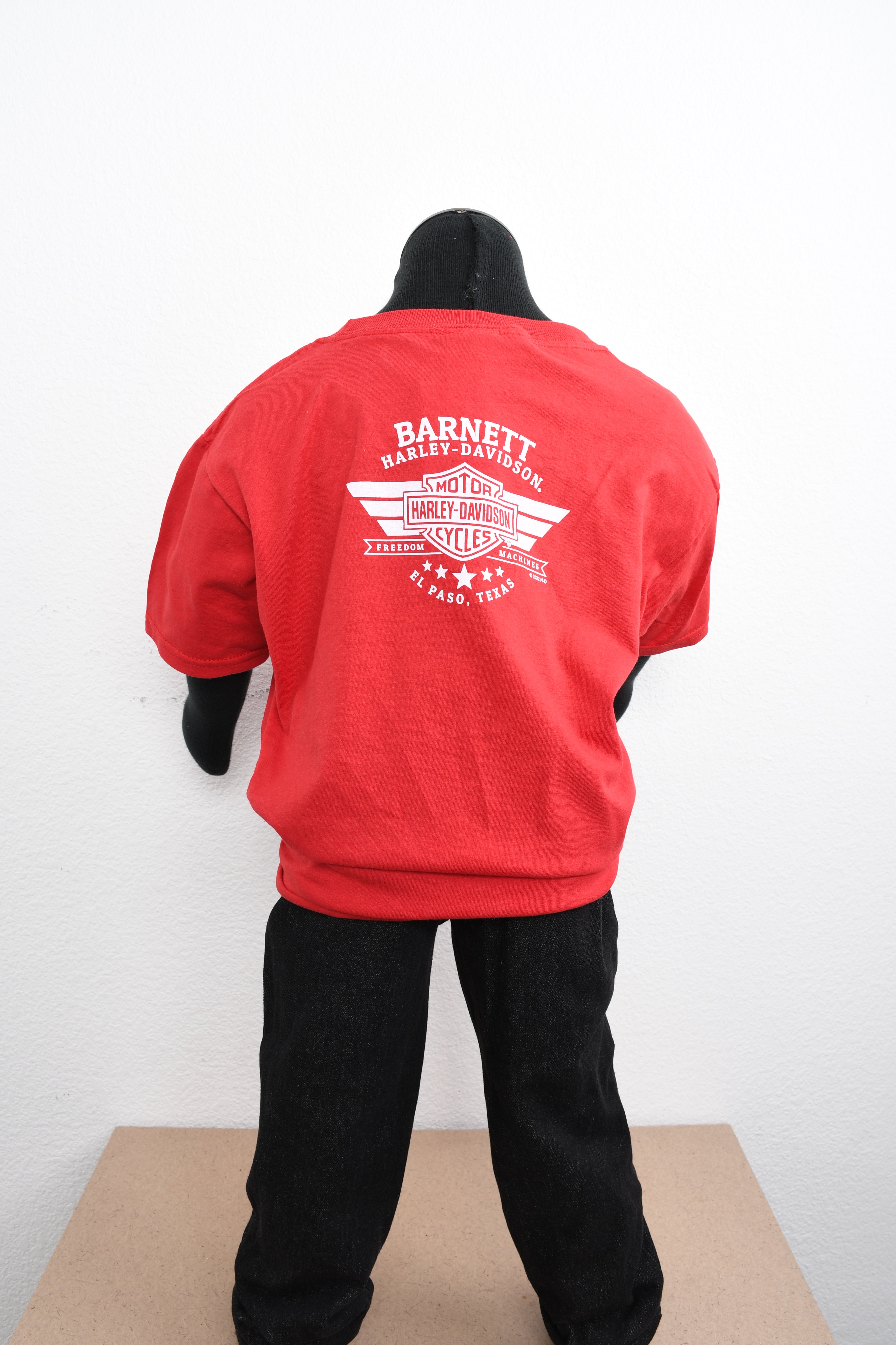 Licensed Product Girls Youth Picnic Trademark B&S Red Short Sleeve T-Shirt