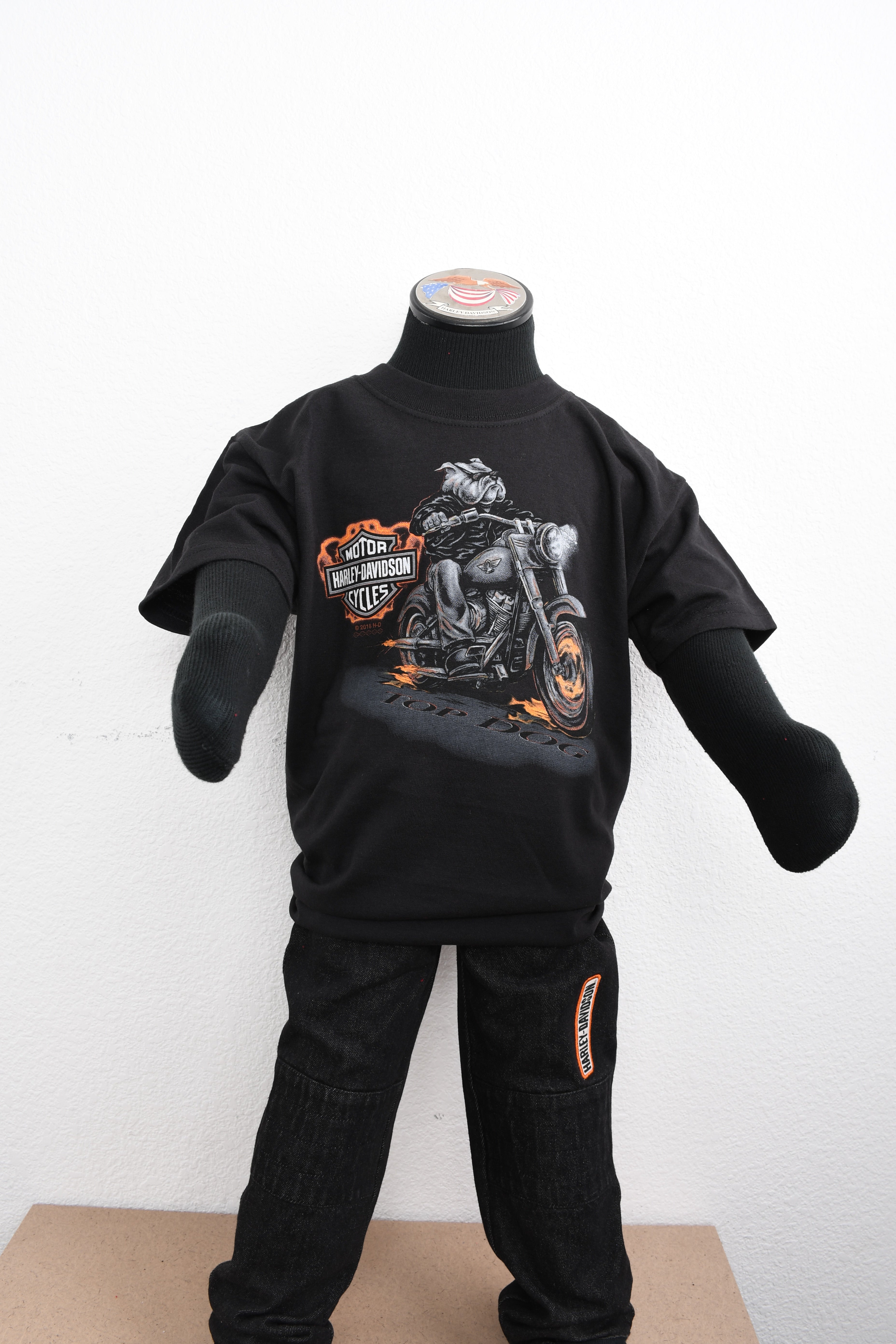 Licensed Product Boys Youth WB Running Big Dog on Motorcycle Black Short Sleeve T-Shirt Main image