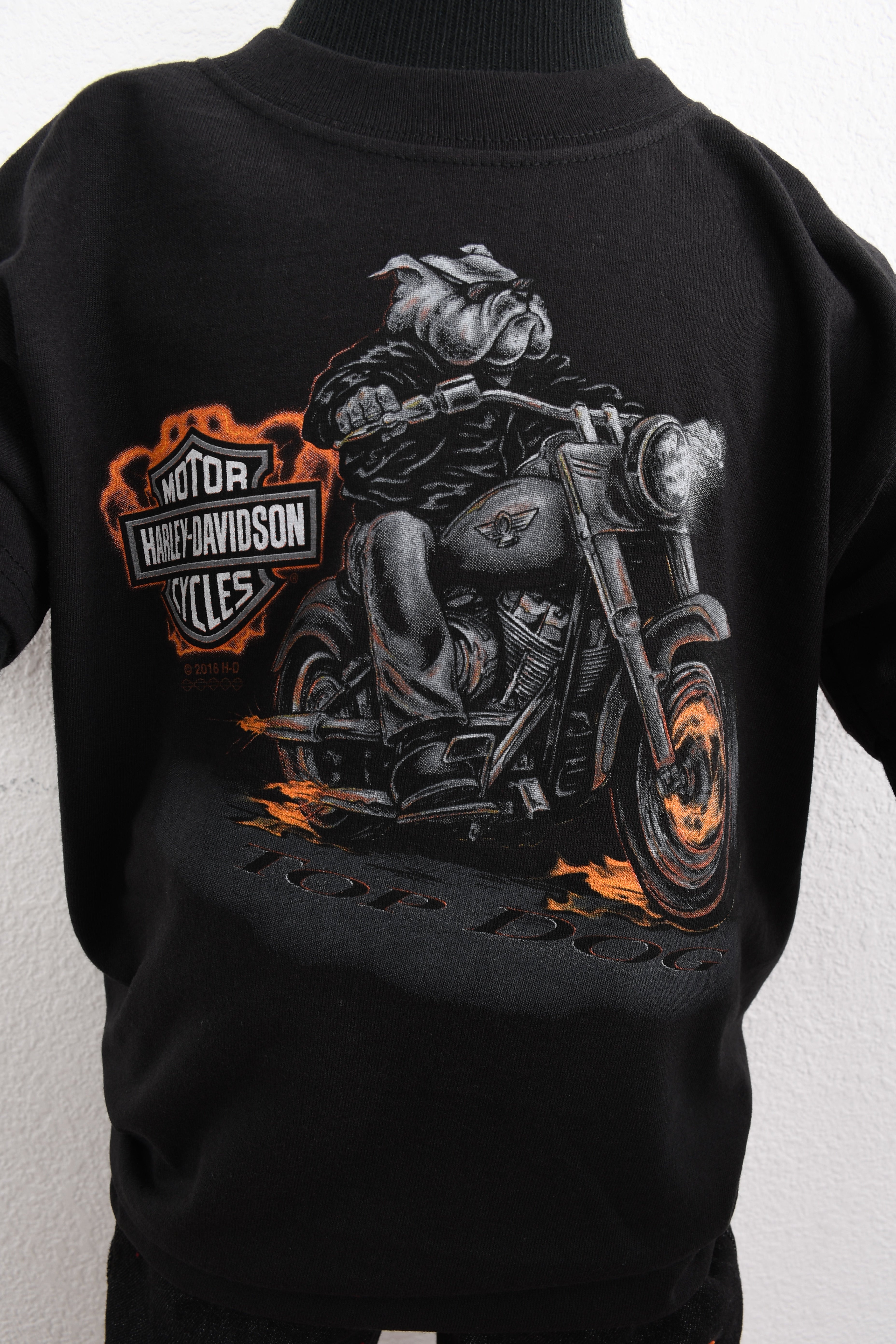 Licensed Product Boys Youth WB Running Big Dog on Motorcycle Black Short Sleeve T-Shirt Secondary image