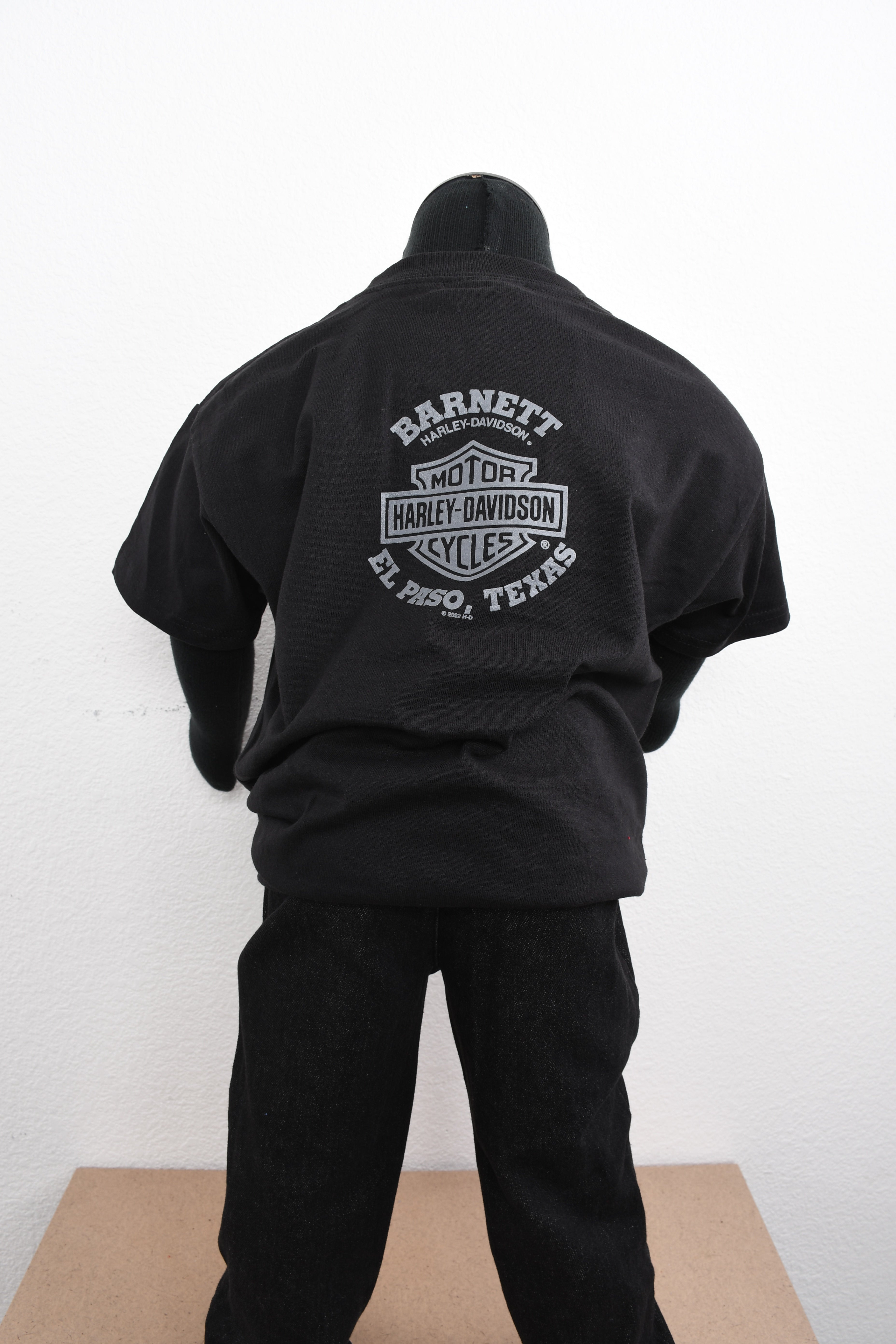 Licensed Product Boys Youth WB Running Big Dog on Motorcycle Black Short Sleeve T-Shirt