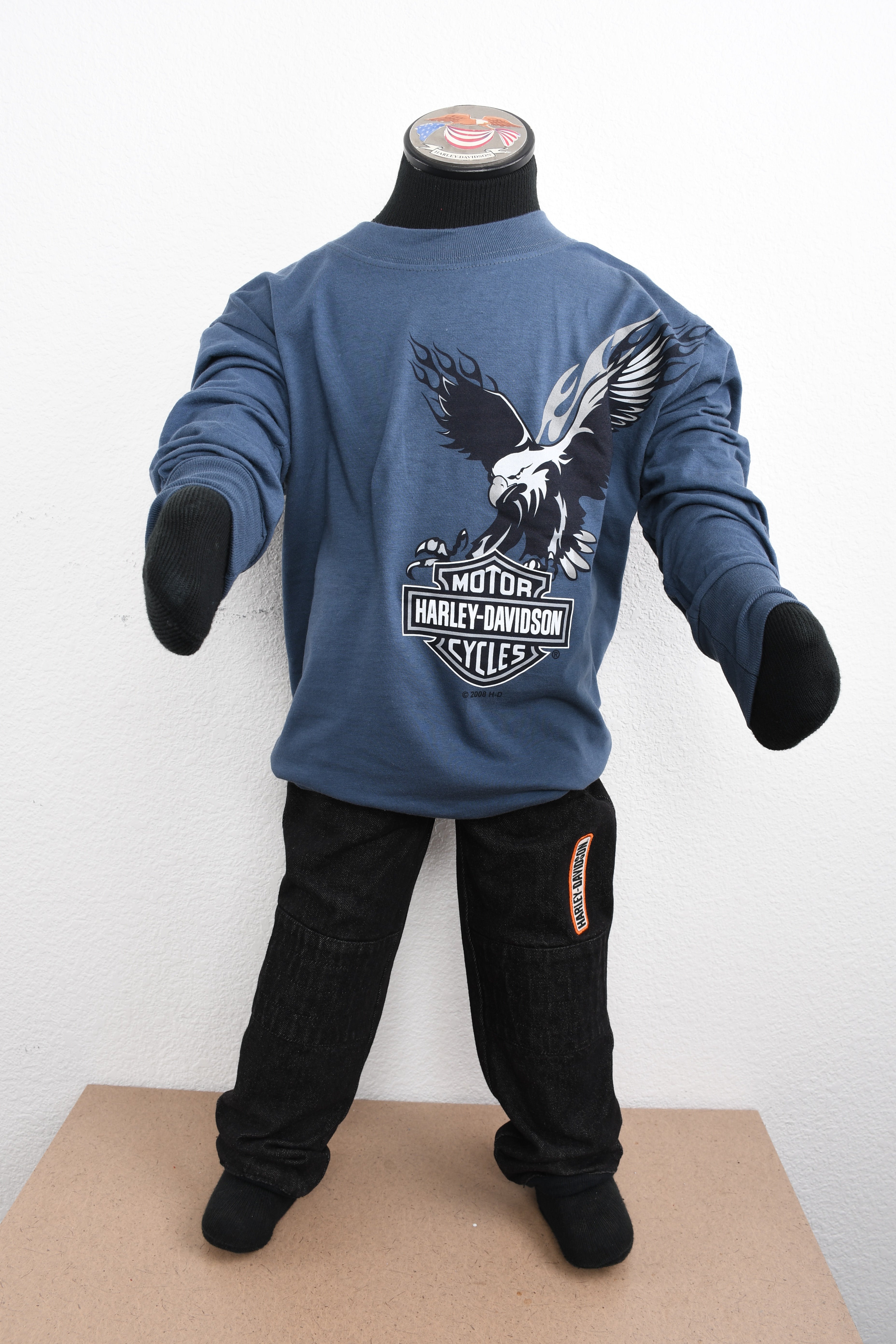 Licensed Product Boys Youth Eagle Over Blue Long Sleeve T-Shirt