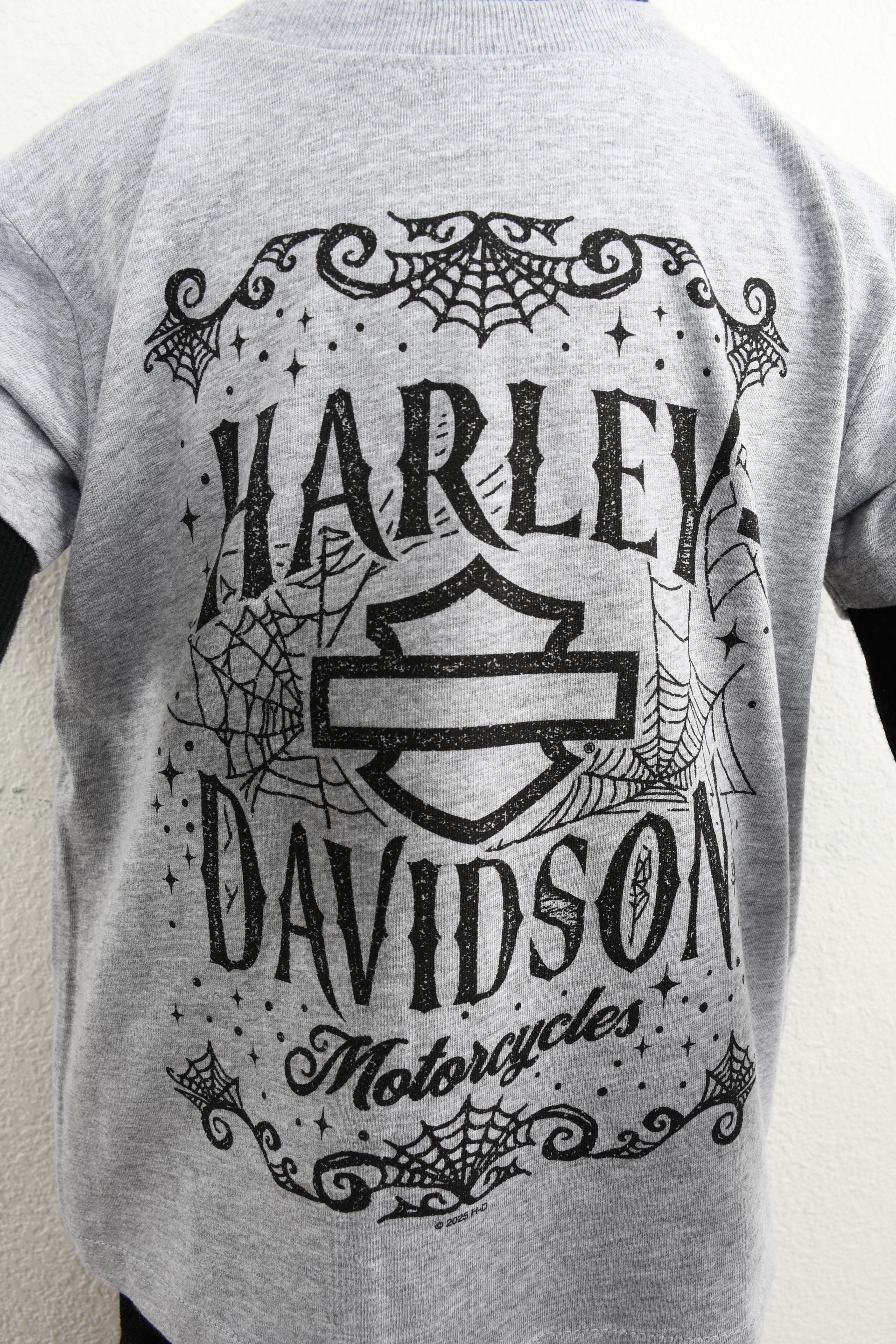 Licensed Product Webbing Grey S/S Kids Secondary image