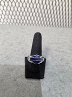 Licensed Product Mens Stainless Steel Small Blue Celtic Enamel Signet Ring
